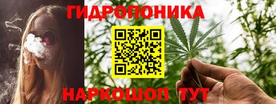 дмт Шебекино