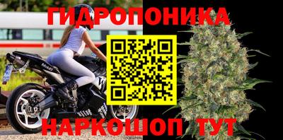 ГАЛЛЮЦИНОГЕННЫЕ ГРИБЫ Ярославль