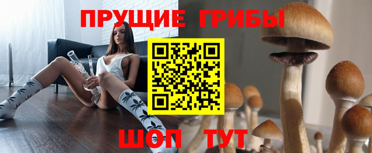 Псилоцибиновые грибы Magic Shrooms Красногорск